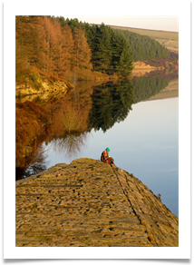 Contemplation - Anne Tidswell